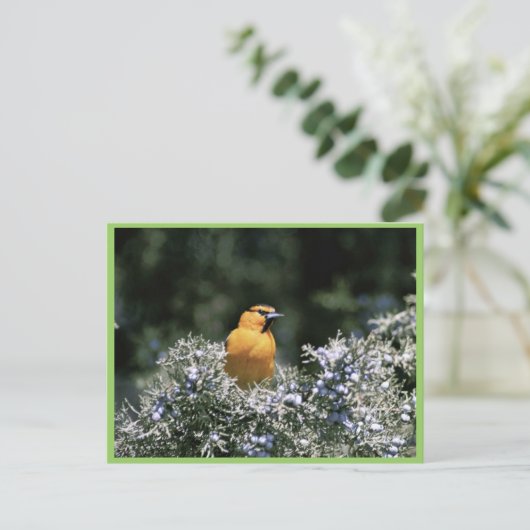Bullock's oriole briefkaart (Staand voorkant)