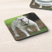 Bullodg Onderzetters (Linkerzijde)