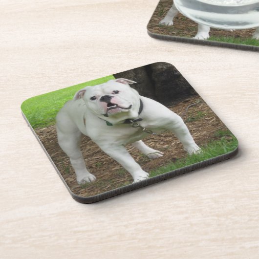 Bullodg Onderzetters (Linkerzijde)