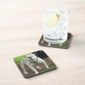 Bullodg Onderzetters (Rechterzijde)