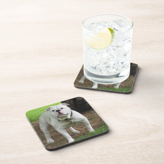 Bullodg Onderzetters (Rechterzijde)