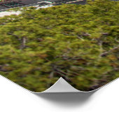 Bullring van La Malagueta Poster (Hoek)