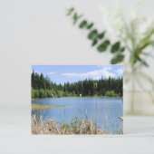 Bullrush - Marshall Lake Briefkaart (Staand voorkant)