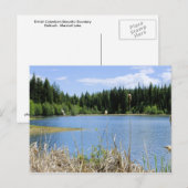 Bullrush - Marshall Lake Briefkaart (Voorkant / Achterkant)