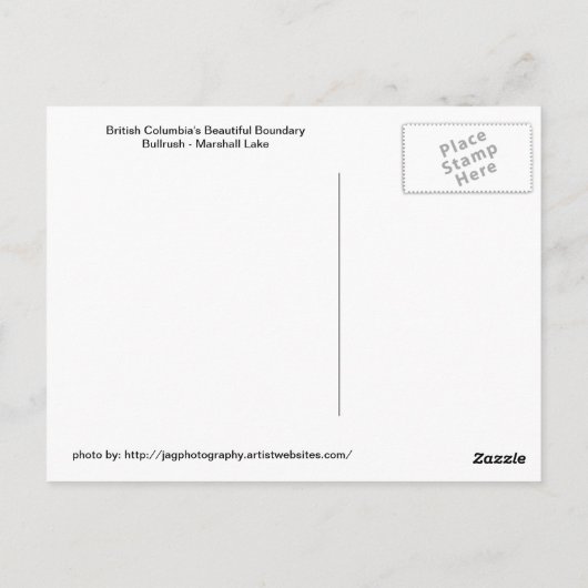 Bullrush - Marshall Lake Briefkaart (Achterkant)