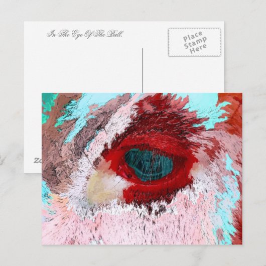 BULLS BRIEFKAART (Voorkant / Achterkant)