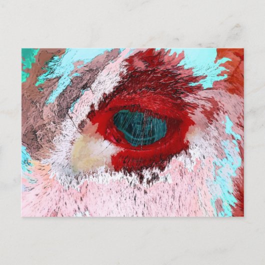 BULLS BRIEFKAART (Voorkant)