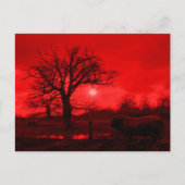 BULLS BRIEFKAART (Voorkant)