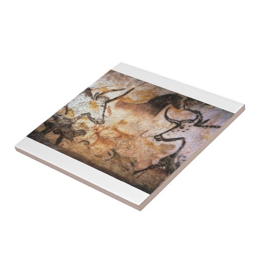 Bulls Buffalo Cave Painting Tegeltje (Zijkant)