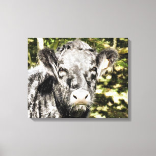BULLS CANVAS AFDRUK