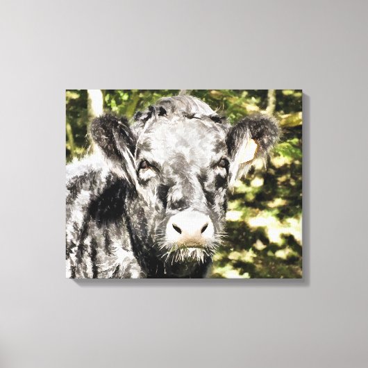 BULLS CANVAS AFDRUK (Voorkant)