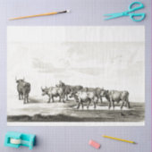 Bulls Ephemera Decoupage  Boerderij Koe Tissuepapier (Craft)