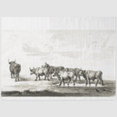 Bulls Ephemera Decoupage  Boerderij Koe Tissuepapier (Voorkant)