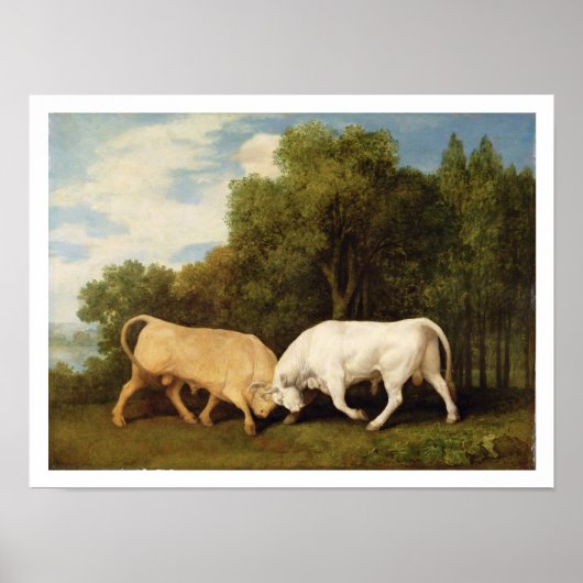 Bulls Fighting, 1786 (olie op het paneel) Poster (Voorkant)
