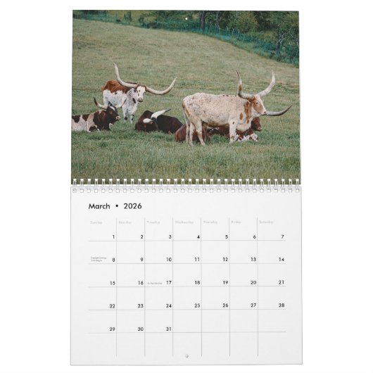 Bulls Kalender (Mar 2026)