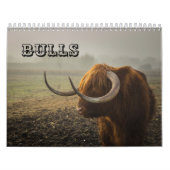 Bulls Kalender (Hoes)