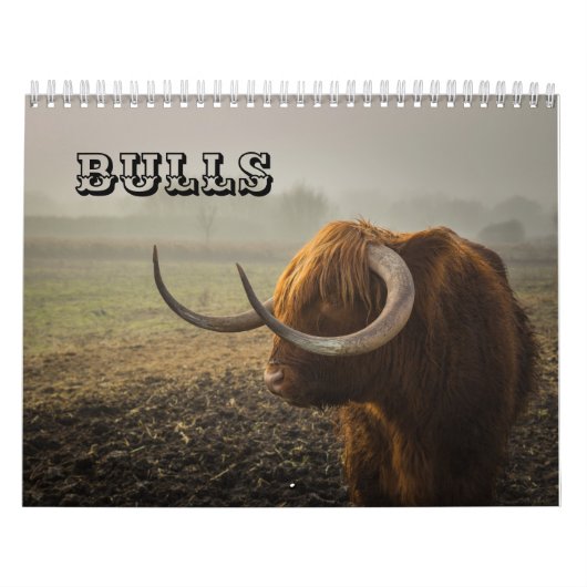Bulls Kalender (Hoes)