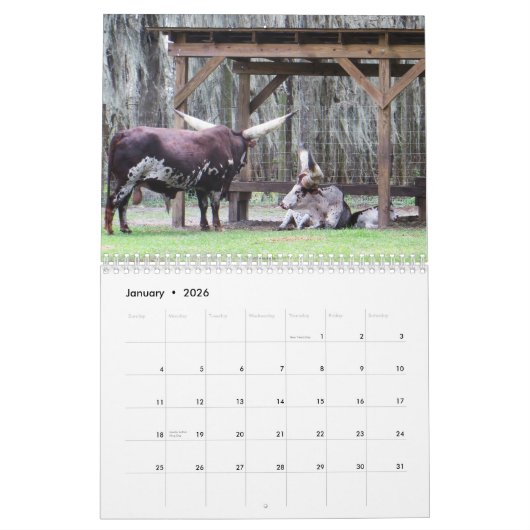 Bulls Kalender (Jan 2026)