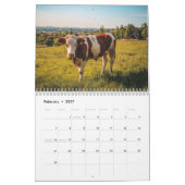 Bulls Kalender (Feb 2027)