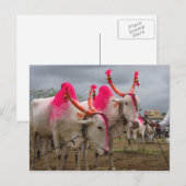 Bulls op een rundveemarkt op het Indiase plattelan Briefkaart (Voorkant / Achterkant)