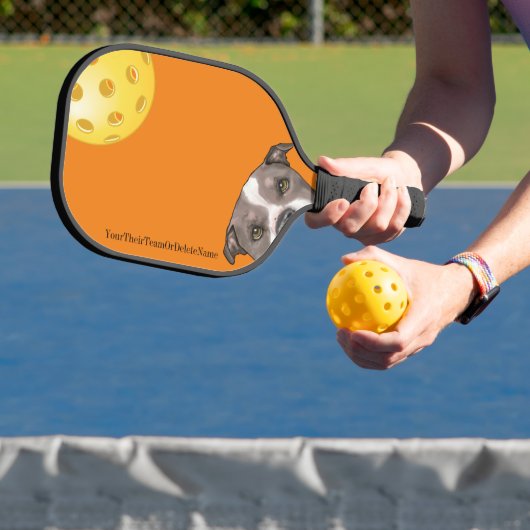 BullTerriers op een Oranje Pickleball Paddle (Insitu)