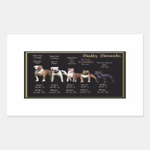 Bully Bries Rechthoekige Sticker