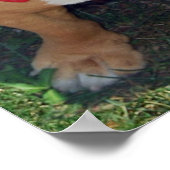 BULLY FREE ZONE 52" x 35" poster (Hoek)