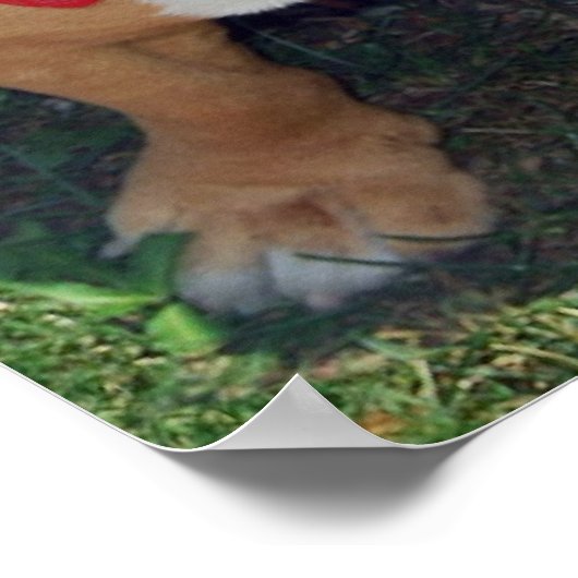 BULLY FREE ZONE 52" x 35" poster (Hoek)