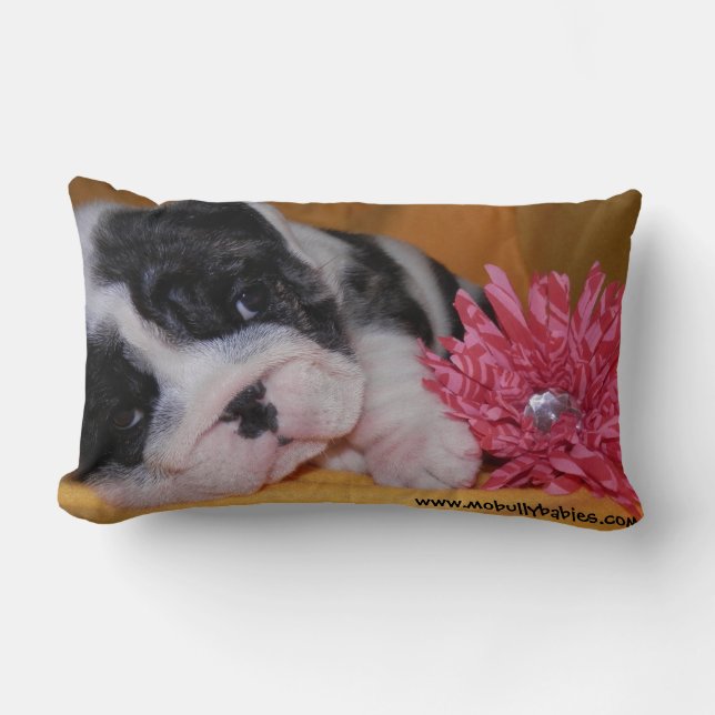 Bully Love Bulldog Pillow Kussen (Voorkant)