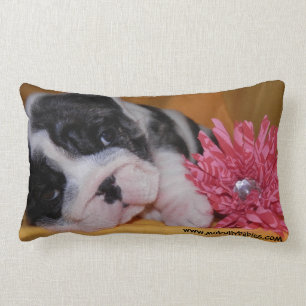 Bully Love Bulldog Pillow Kussen