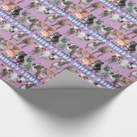 Bully Love Wrapping Paper 2 Cadeaupapier (Hoek)
