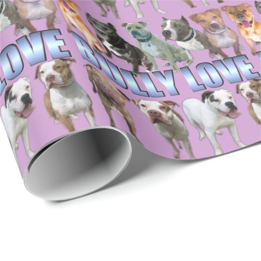 Bully Love Wrapping Paper 2 Cadeaupapier (Rol Hoek)