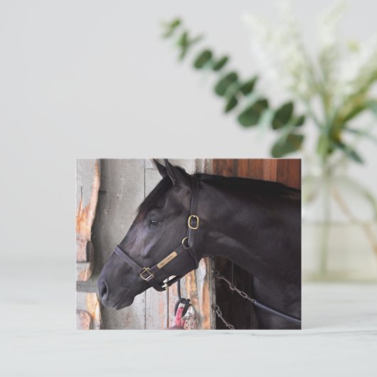 Bully Proof by Bellamy Road Flaming Slew Briefkaart (Staand voorkant)