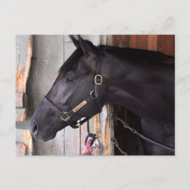 Bully Proof by Bellamy Road Flaming Slew Briefkaart