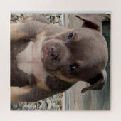Bully ras puppy legpuzzel (Horizontaal)