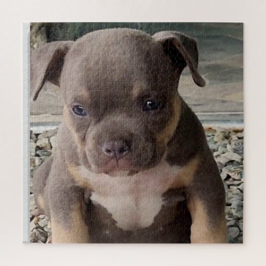 Bully ras puppy legpuzzel (Verticaal)