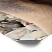 Bully ras puppy perfect poster (Hoek)