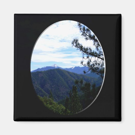 Bully Schup uitzicht....... Magneet (Voorkant)