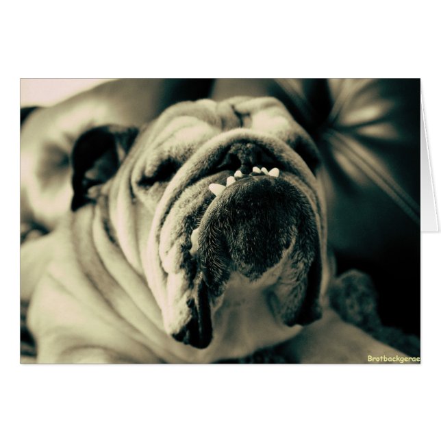 Bully Teeth (Voorkant Horizontaal)