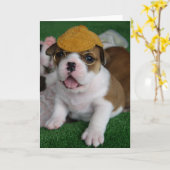 BullyBreeze - Kou - Chillin uit - Wenskaart Kaart (Gele Bloem)