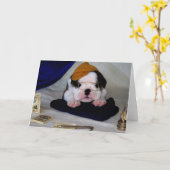 BullyBreeze - Pania - Studietijd - Wenskaart Kaart (Gele Bloem)