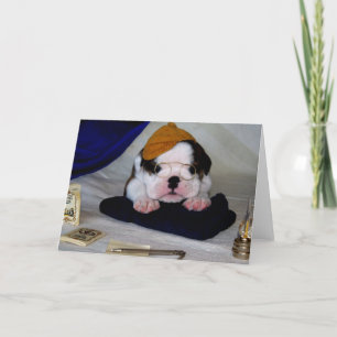 BullyBreeze - Pania - Studietijd - Wenskaart Kaart