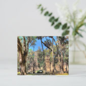 Bulow Plantation, Florida Briefkaart (Staand voorkant)