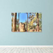 Bulow Plantation Ruins, Florida Canvas Afdruk (Insitu (Houten vloer))