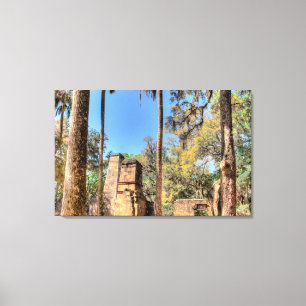 Bulow Plantation Ruins, Florida Canvas Afdruk