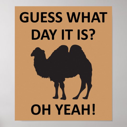 Bultdag Kameel Grappige Woensdag Poster Bord (Voorkant)