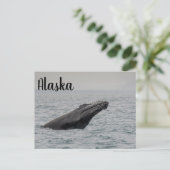 Bultrug Breach Alaska Briefkaart (Staand voorkant)