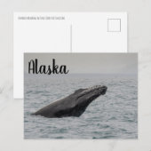 Bultrug Breach Alaska Briefkaart (Voorkant / Achterkant)