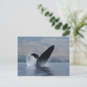 bultrug breekt briefkaart (Staand voorkant)