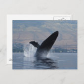 bultrug breekt briefkaart (Voorkant / Achterkant)